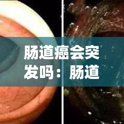 第1724頁