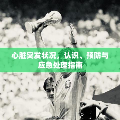 心臟突發狀況,認識、預防與應急處理指南