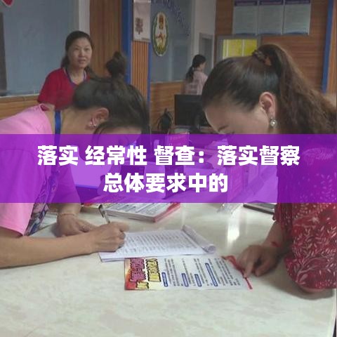 落實 經常性 督查:落實督察總體要求中的