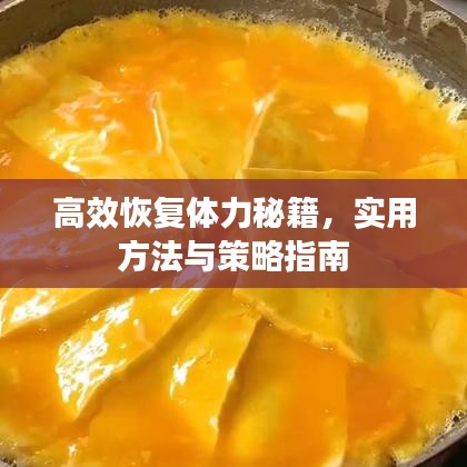 高效恢復體力秘籍，實用方法與策略指南