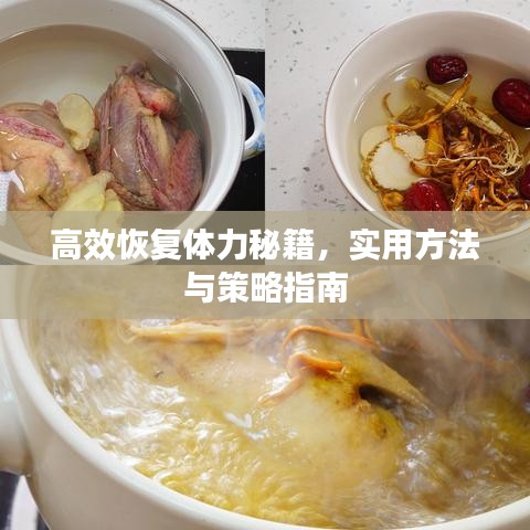 高效恢復體力秘籍,實用方法與策略指南