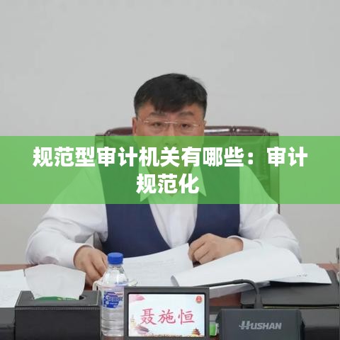 規范型審計機關有哪些:審計規范化