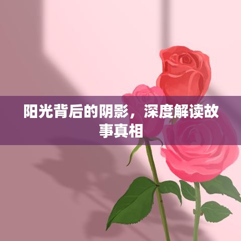 陽光背后的陰影，深度解讀故事真相