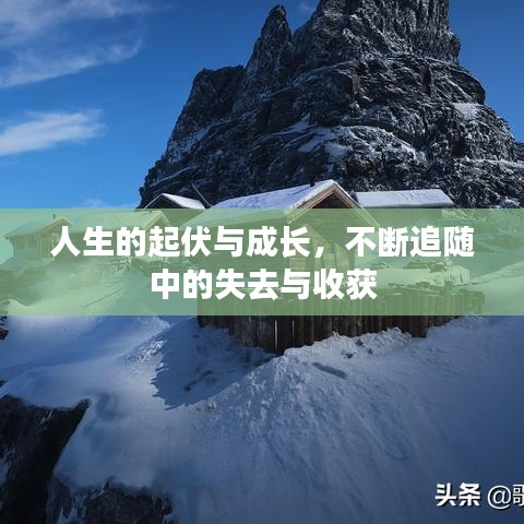 人生的起伏與成長,不斷追隨中的失去與收獲