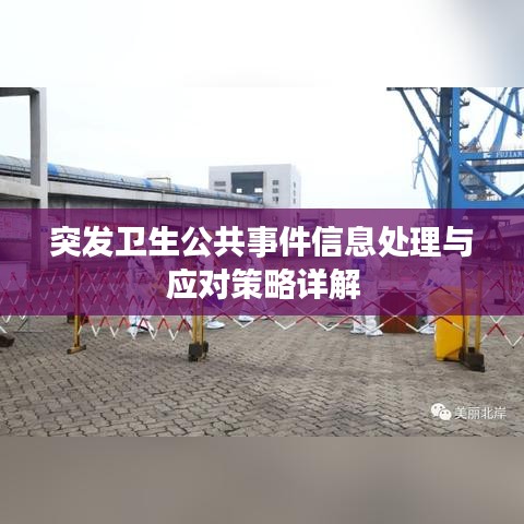 突發(fā)衛(wèi)生公共事件信息處理與應(yīng)對(duì)策略詳解