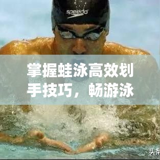 掌握蛙泳高效劃手技巧，暢游泳池無界限