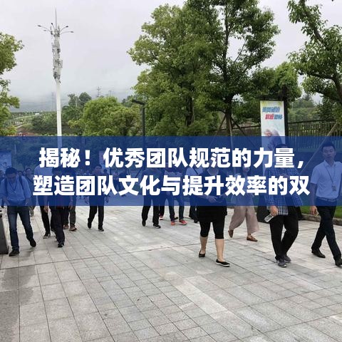 揭秘!優秀團隊規范的力量,塑造團隊文化與提升效率的雙重秘訣
