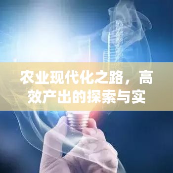 農(nóng)業(yè)現(xiàn)代化之路,高效產(chǎn)出的探索與實(shí)踐