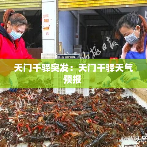 天門干驛突發(fā):天門干驛天氣預(yù)報