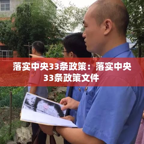 落實中央33條政策:落實中央33條政策文件