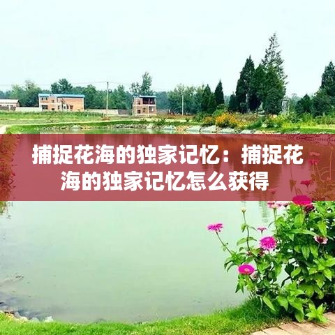 捕捉花海的獨家記憶:捕捉花海的獨家記憶怎么獲得