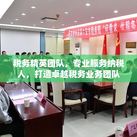 稅務(wù)精英團(tuán)隊(duì),專業(yè)服務(wù)納稅人,打造卓越稅務(wù)業(yè)務(wù)團(tuán)隊(duì)