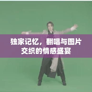 獨(dú)家記憶,翻唱與圖片交織的情感盛宴
