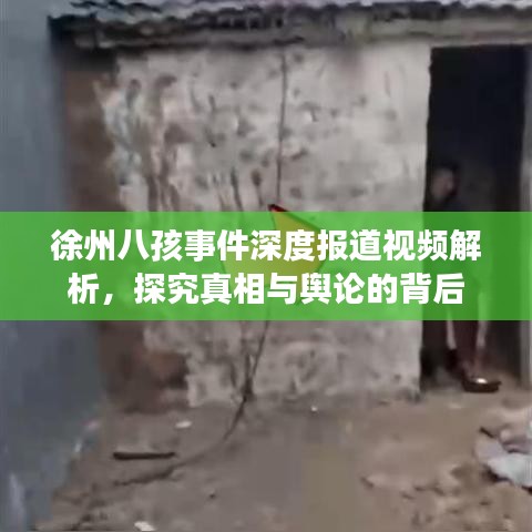 徐州八孩事件深度報道視頻解析，探究真相與輿論的背后