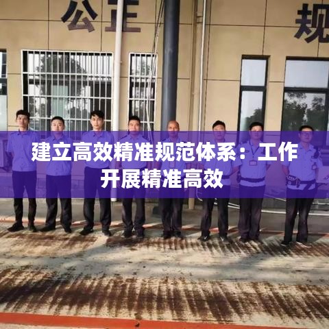 建立高效精準規范體系:工作開展精準高效