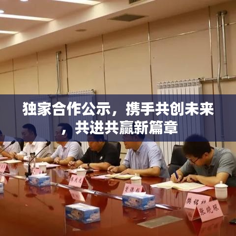 獨家合作公示，攜手共創未來，共進共贏新篇章