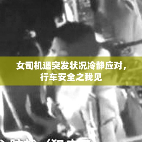 女司機遇突發狀況冷靜應對，行車安全之我見