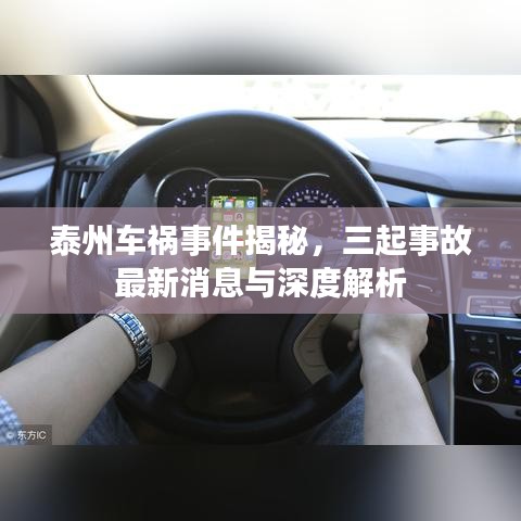 泰州車禍?zhǔn)录颐兀鹗鹿首钚孪⑴c深度解析