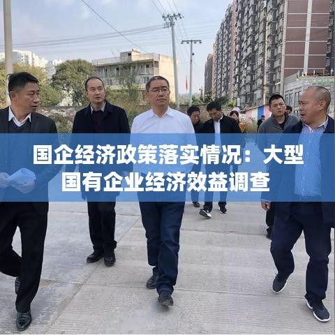 國企經濟政策落實情況:大型國有企業經濟效益調查