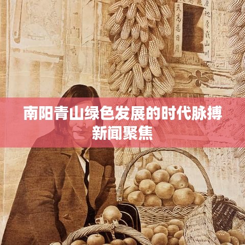 南陽青山綠色發展的時代脈搏新聞聚焦