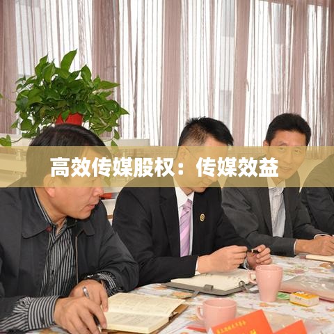 高效傳媒股權(quán):傳媒效益