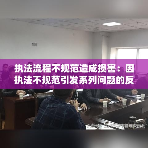 執法流程不規范造成損害：因執法不規范引發系列問題的反思,心得體會 