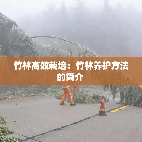 竹林高效栽培:竹林養護方法的簡介