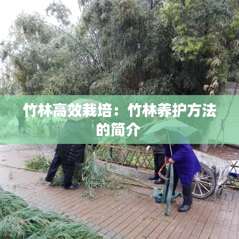 竹林高效栽培:竹林養護方法的簡介