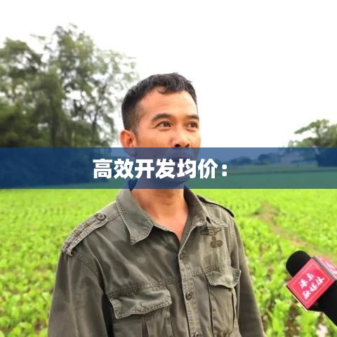 高效開發均價： 