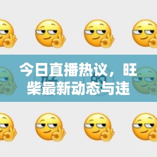 今日直播熱議,旺柴最新動態與違法犯罪問題探討深度解析