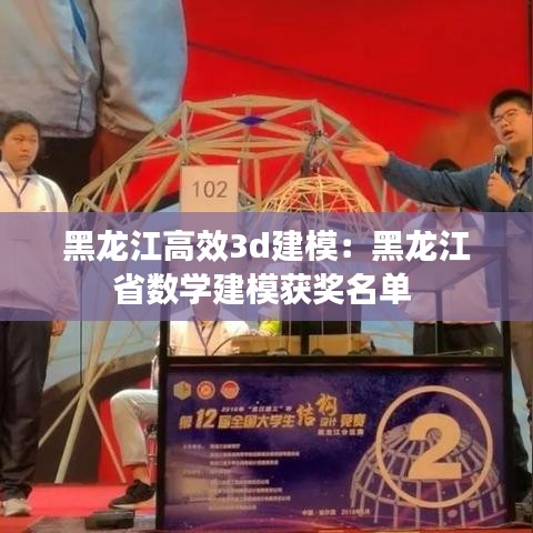 黑龍江高效3d建模:黑龍江省數學建模獲獎名單