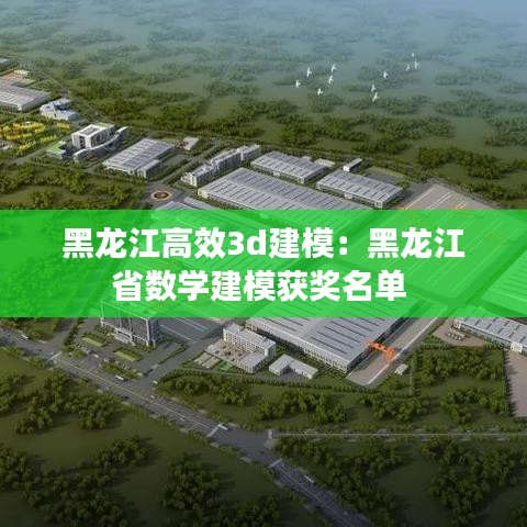 黑龍江高效3d建模:黑龍江省數學建模獲獎名單