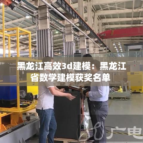 黑龍江高效3d建模:黑龍江省數學建模獲獎名單