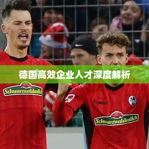 德國高效企業人才深度解析