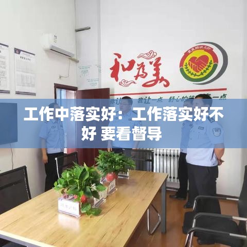 工作中落實(shí)好:工作落實(shí)好不好 要看督導(dǎo)
