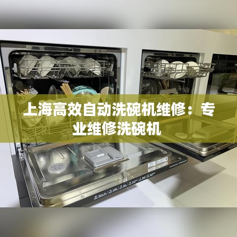 上海高效自動洗碗機維修:專業維修洗碗機