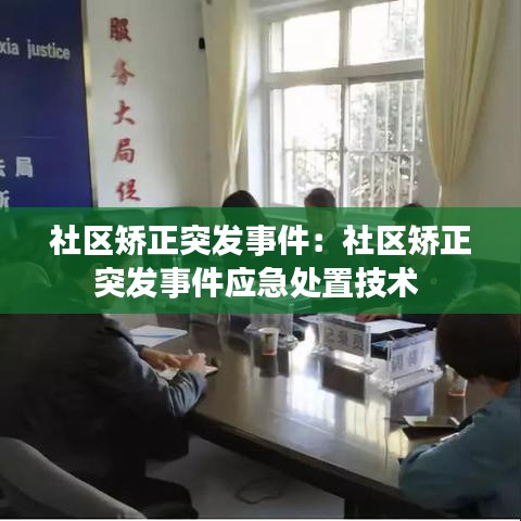 社區(qū)矯正突發(fā)事件:社區(qū)矯正突發(fā)事件應(yīng)急處置技術(shù)