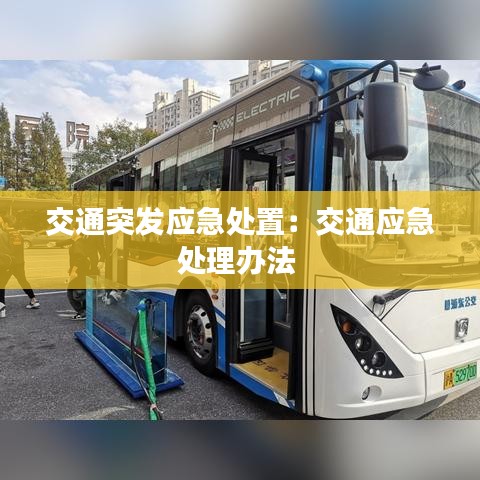 交通突發應急處置:交通應急處理辦法