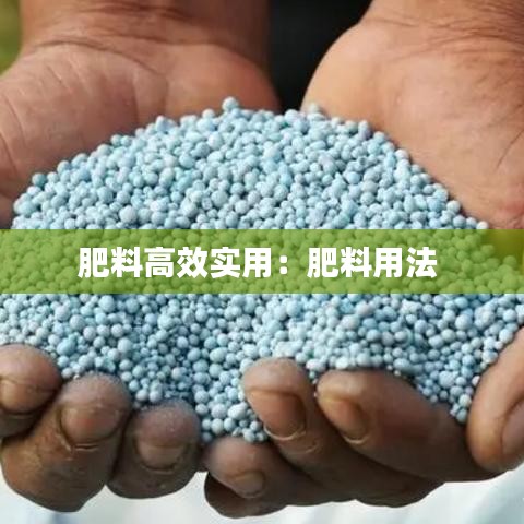 肥料高效實用:肥料用法