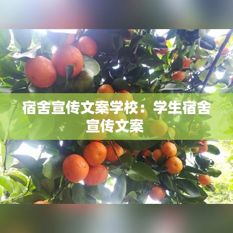 宿舍宣傳文案學校:學生宿舍宣傳文案