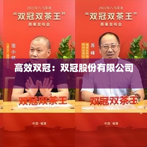 高效雙冠:雙冠股份有限公司