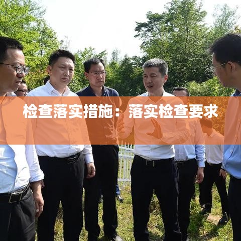 檢查落實措施:落實檢查要求