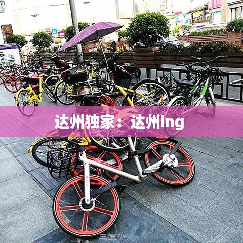 達州獨家:達州ing