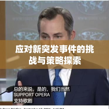 應對新突發事件的挑戰與策略探索