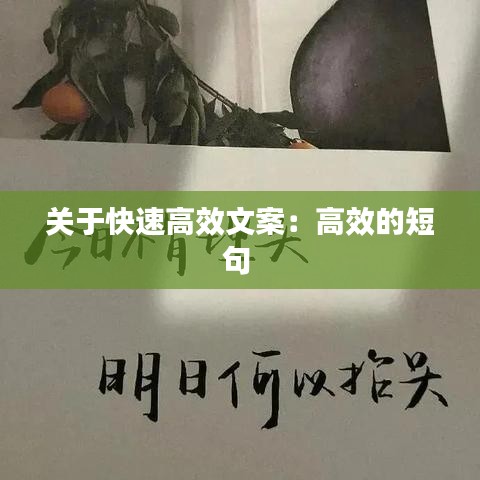 關于快速高效文案:高效的短句