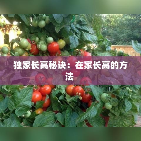 獨家長高秘訣:在家長高的方法
