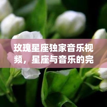玫瑰星座獨(dú)家音樂視頻,星座與音樂的完美交融