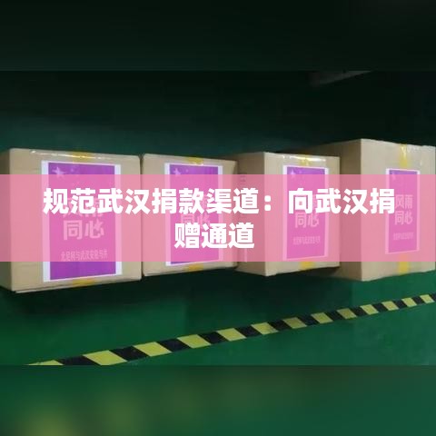 規范武漢捐款渠道:向武漢捐贈通道