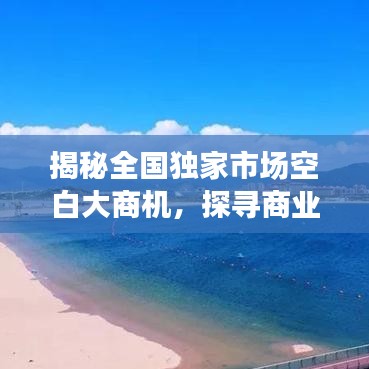 揭秘全國獨(dú)家市場空白大商機(jī),探尋商業(yè)新藍(lán)海,開啟財富大門!