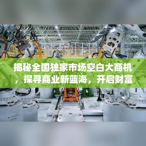 揭秘全國獨(dú)家市場空白大商機(jī),探尋商業(yè)新藍(lán)海,開啟財富大門!